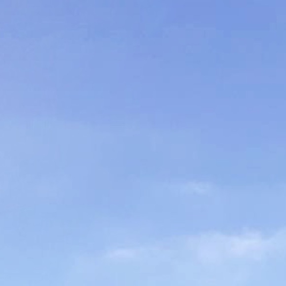 Meet your Posher, Cashlynn